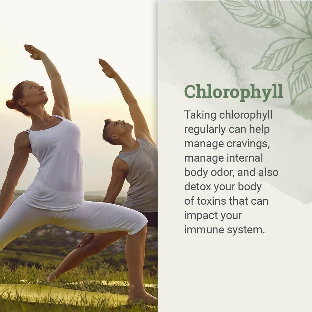 Liquid_Chlorophyll,_Liquid_Drops_for_Immune_System_Support,_Natural_Internal_Deodorant_-_Vegan_Chlorophyll_Drops_with_Organic_Glycerin_-_Clorofila_Liquida,_Chlorophyllin_Detox_Cleanse_(1_mL)