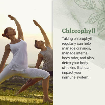 Liquid_Chlorophyll,_Liquid_Drops_for_Immune_System_Support,_Natural_Internal_Deodorant_-_Vegan_Chlorophyll_Drops_with_Organic_Glycerin_-_Clorofila_Liquida,_Chlorophyllin_Detox_Cleanse_(1_mL)