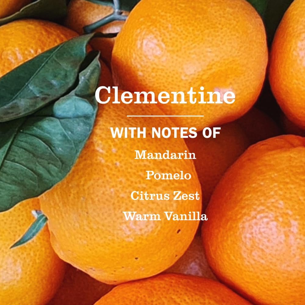 Mrs._MEYER'S_CLEAN_DAY_Multi-Surface_Everyday_Cleaner,_Clementine_Scent,_16_Fl_Oz_Bottle