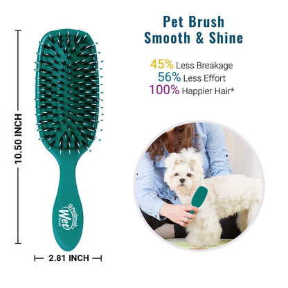 Wet_Brush_Pet_Hair_Brush,_Smooth,_Shiny_Fur,_Dog_and_Cat_Hairbrush,_De-Shedding_Comb_&_Dematting_Tool_for_Grooming_Long_or_Short-Haired_Dogs,_Tangle-Free_for_Less_Pulling_&_Tugging,_Teal