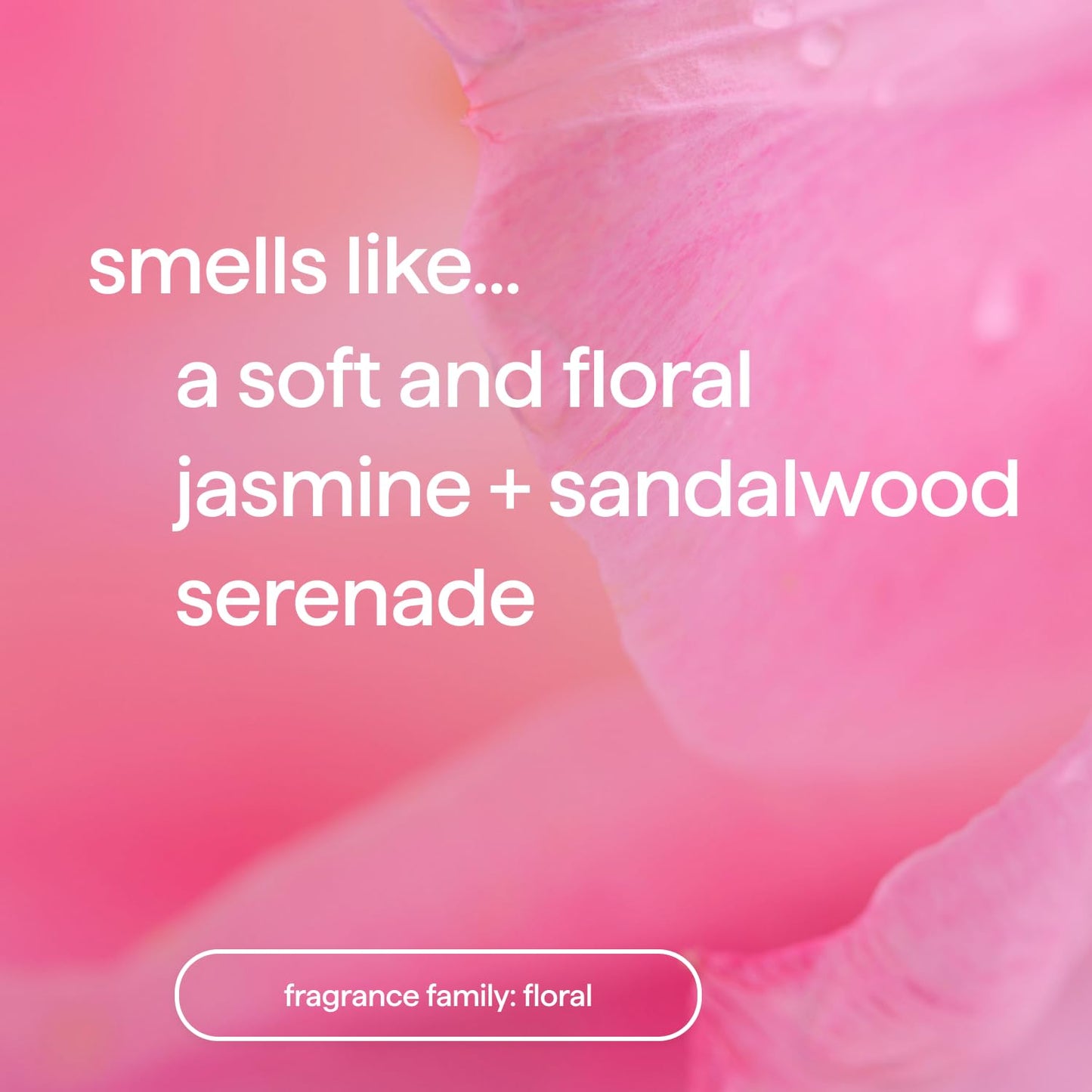 Method_Dream_Foam,_Foaming_Body_Wash,_Jasmine_+_Sandalwood,_13.5_oz