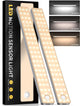 3 Color Light - 2-Pack 13 inch