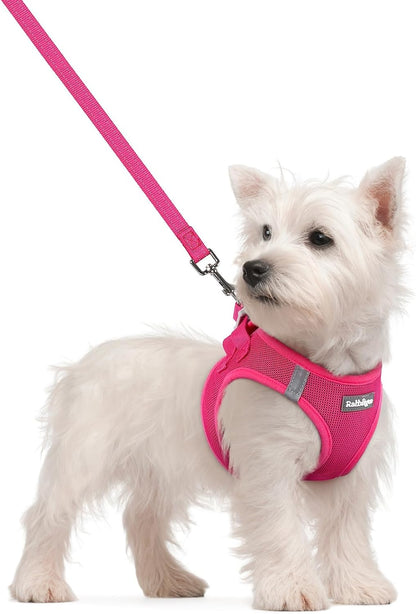 rabbitgoo_Dog_Harness_Small_Sized_and_Leash_Set,_Step_in_Soft_Light_Puppy_Vest,_Breathable_Mesh_Pet_Harness,_Reflective_for_Safe_Easy_Walking,_Rose_Red_S