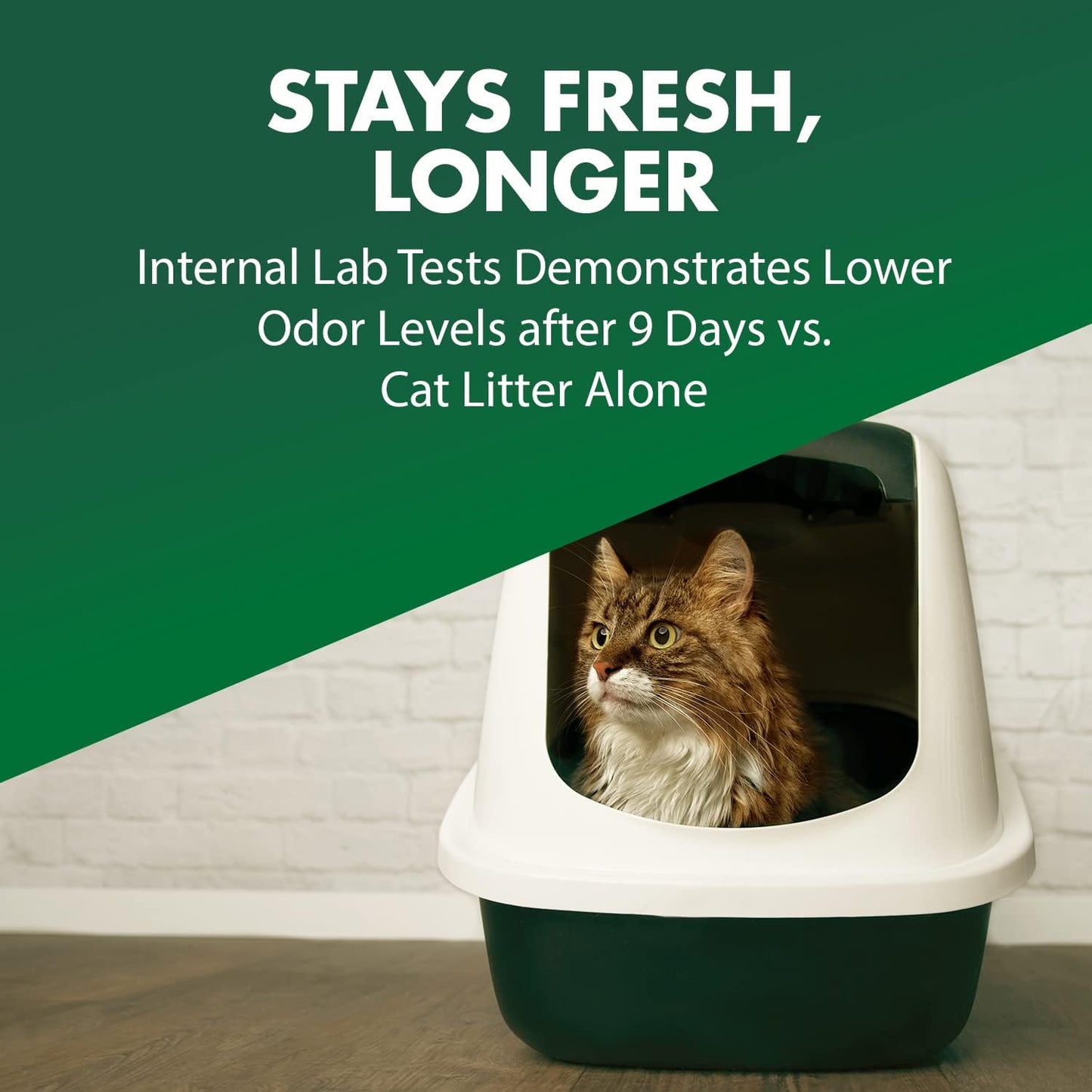 ARM_&_HAMMER_Cat_Litter_Deodorizer_Double_Duty,_30_oz,_6_Pack