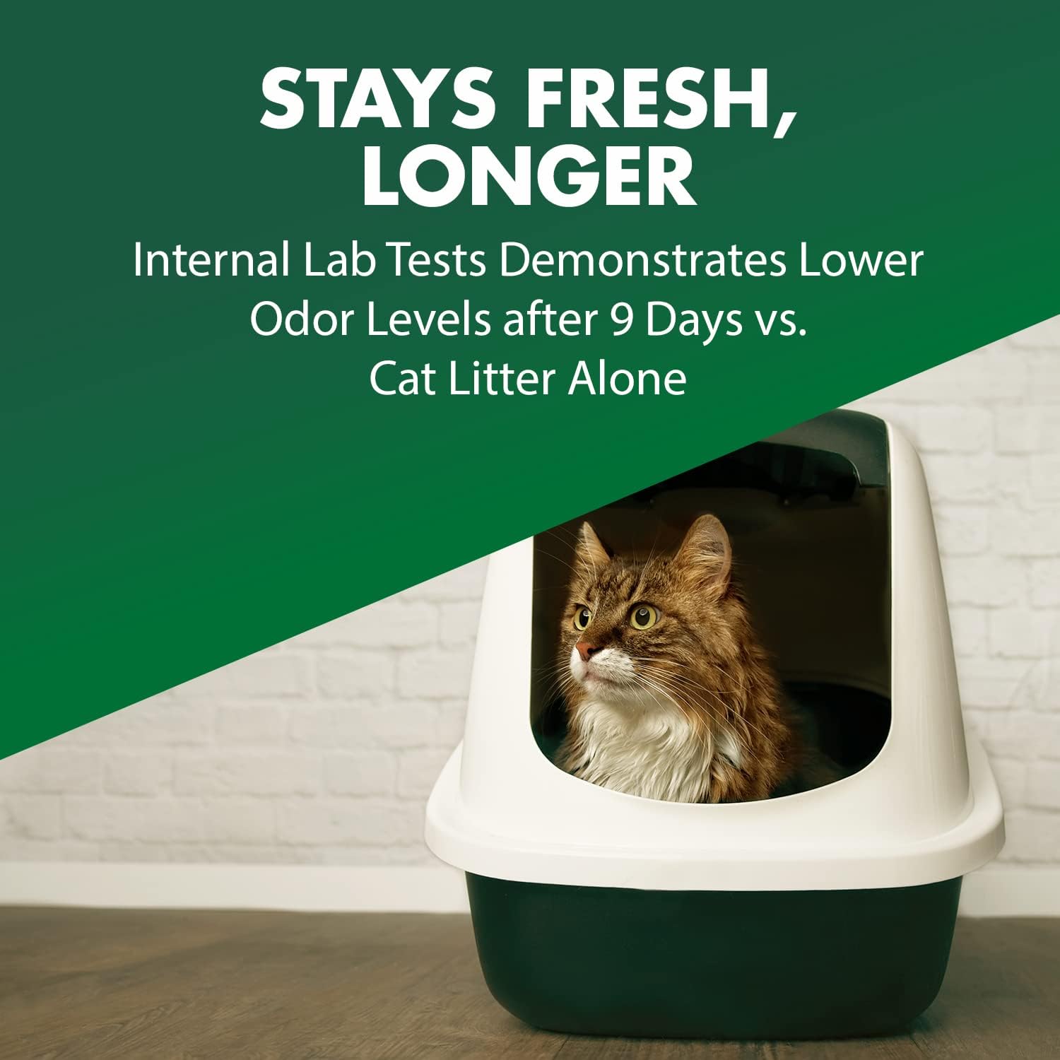 ARM_&_HAMMER_Cat_Litter_Deodorizer_Double_Duty,_30_oz,_6_Pack