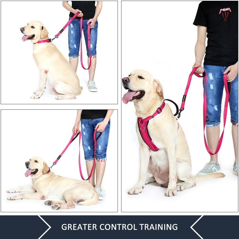 Plutus_Pet_Double_Handle_Dog_Leash_6ft_Long,_Padded_2_Handle,_Heavy_Duty,_Reflective_Training_Leash_for_Medium_Large_Dogs,_Dual_Handle_Lead_(Pink)