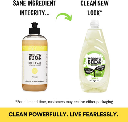 Molly's_Suds_Liquid_Dish_Soap_|_Clean,_Simple_Ingredients_|_Extra_Scrubbing_Power_|_Citrus_Scent,_24_oz_-_2_Pack