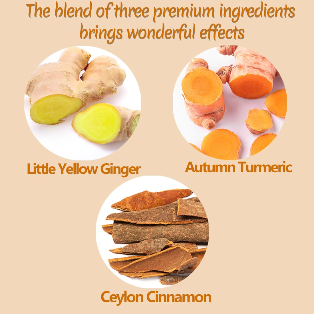 50_Premium_Turmeric,_Ginger,_Cinnamon_Blend_Tea_Bags,_100%_Natural_&_No_Additives_&_Caffeine_Free.