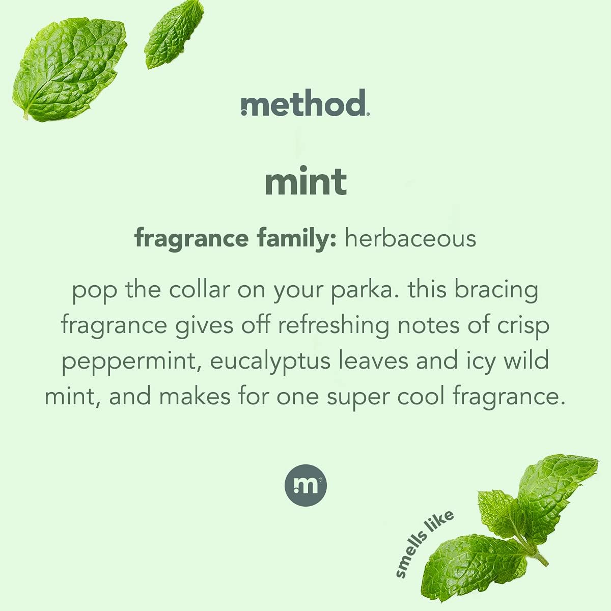Method_Glass_Cleaner,_Mint,_28_Ounce,_4_Pack,_Packaging_May_Vary