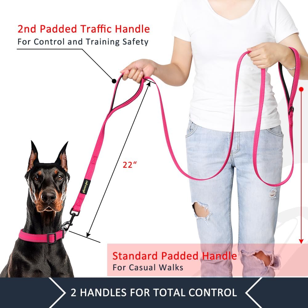 Plutus_Pet_Double_Handle_Dog_Leash_6ft_Long,_Padded_2_Handle,_Heavy_Duty,_Reflective_Training_Leash_for_Medium_Large_Dogs,_Dual_Handle_Lead_(Pink)