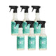 Mint - 16 Fl Oz (Pack of 6)