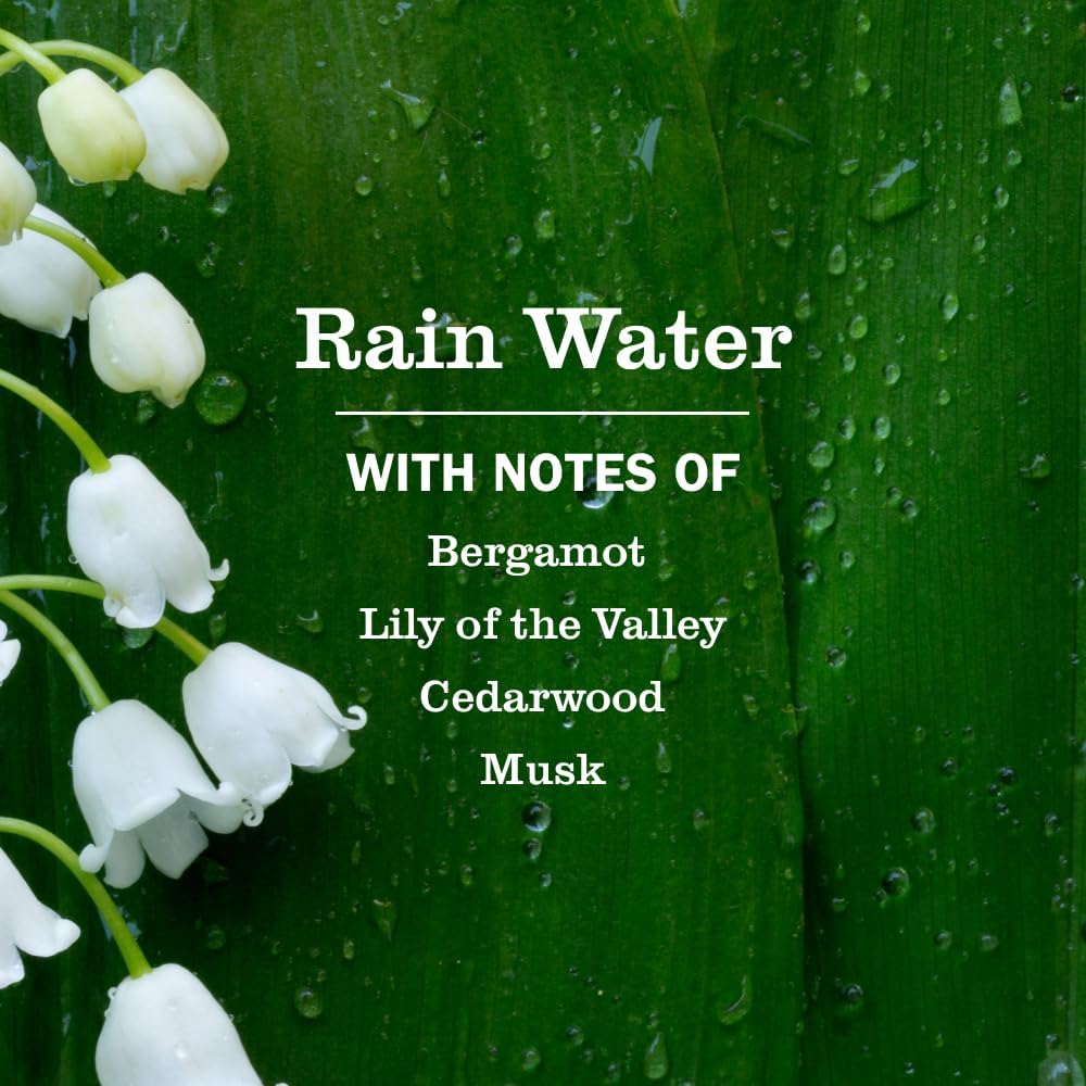 MRS._MEYER'S_CLEAN_DAY_Liquid_Dish_Soap_Refill,_Rain_Water,_48_fl._oz