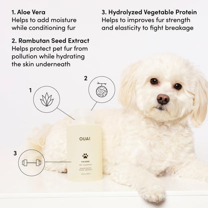 OUAI_Fur_Bebe_Pet_Shampoo_-_Cat_&_Dog_Shampoo_for_Gentle_Cleansing,_Hydration_&_Shine_-_Vegan_&_Cruelty-Free_Pet_Supplies_with_Aloe_Vera_&_Panthenol_-_Mercer_Street_Scent_(16_Fl_oz)