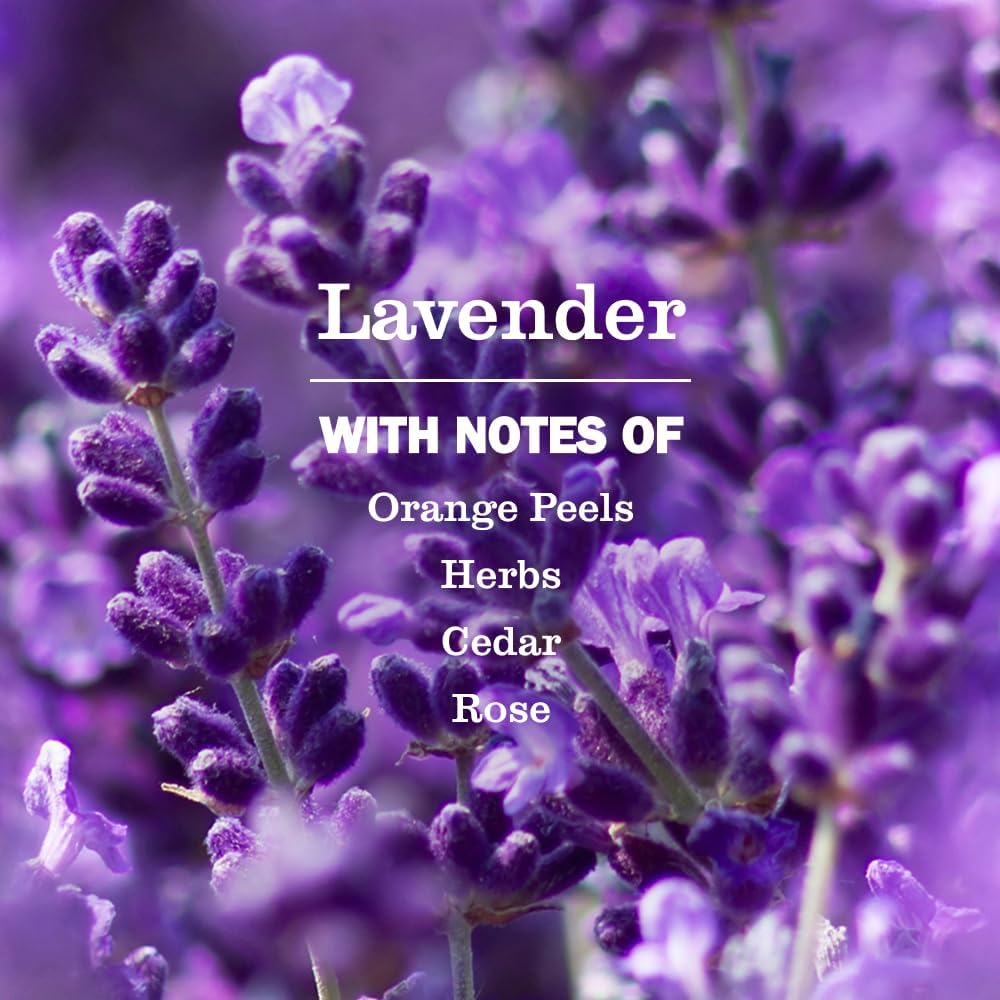 MRS._MEYER'S_CLEAN_DAY_Dryer_Sheets,_Lavender,_80_ct