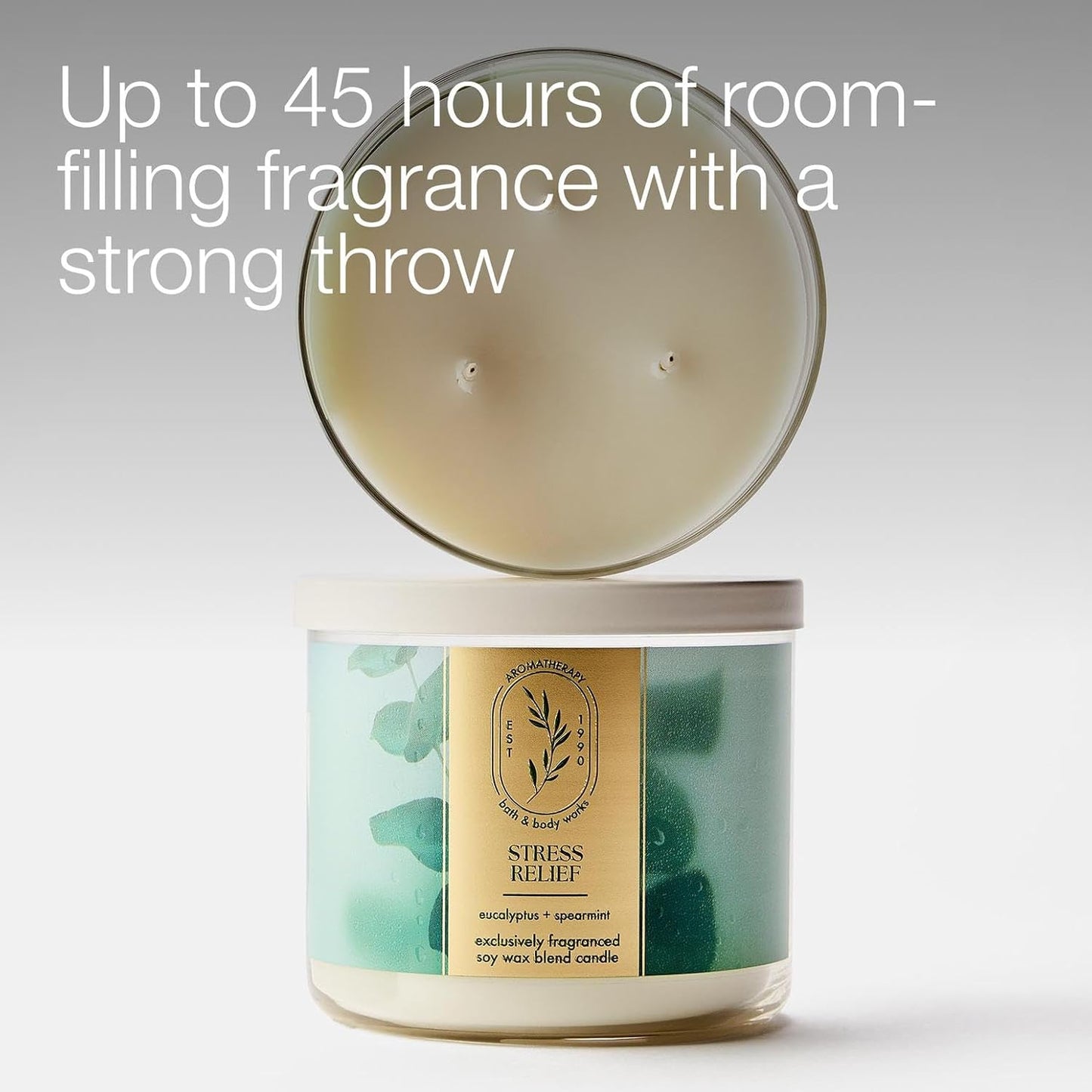 Bath_&_Body_Works_Eucalyptus_Spearmint_3-Wick_Candle_-_Scented_Candle_for_At-Home_Use_-_Long-Lasting,_Room-Filling_Fragrance_-_High_Fragrance_Oil_Concentration_-_Soy_Wax_Blend