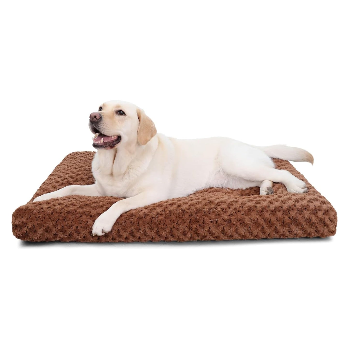 HCWB09D786WXF