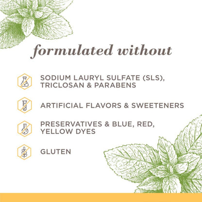 Burt's_Bees_Toothpaste,_Natural_Flavor,_Fluoride-Free,_Purely_White,_Zen_Peppermint,_4.7_oz,_Pack_of_3