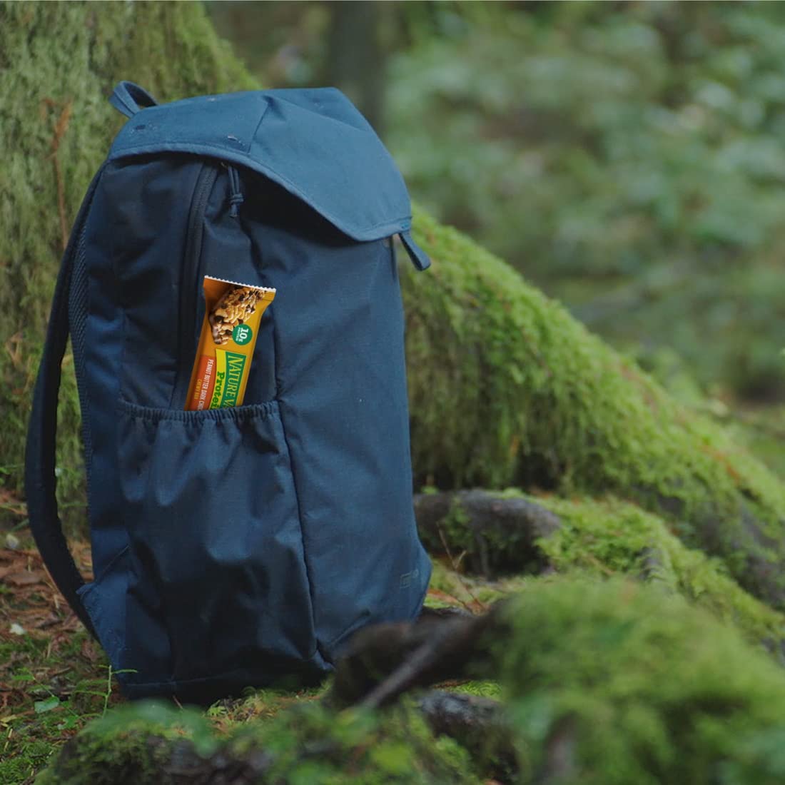 Nature_Valley_Breakfast_Bars,_Protein_Granola_Bars,_Peanut_Butter_Dark_Chocolate,_Chewy,_Gluten-Free,_Individually_Wrapped,_On-the-Go,_No_Artificial_Flavors_or_High_Fructose_Corn_Syrup,_15-Count_Box