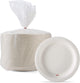 White - 500 Count (Pack of 1)