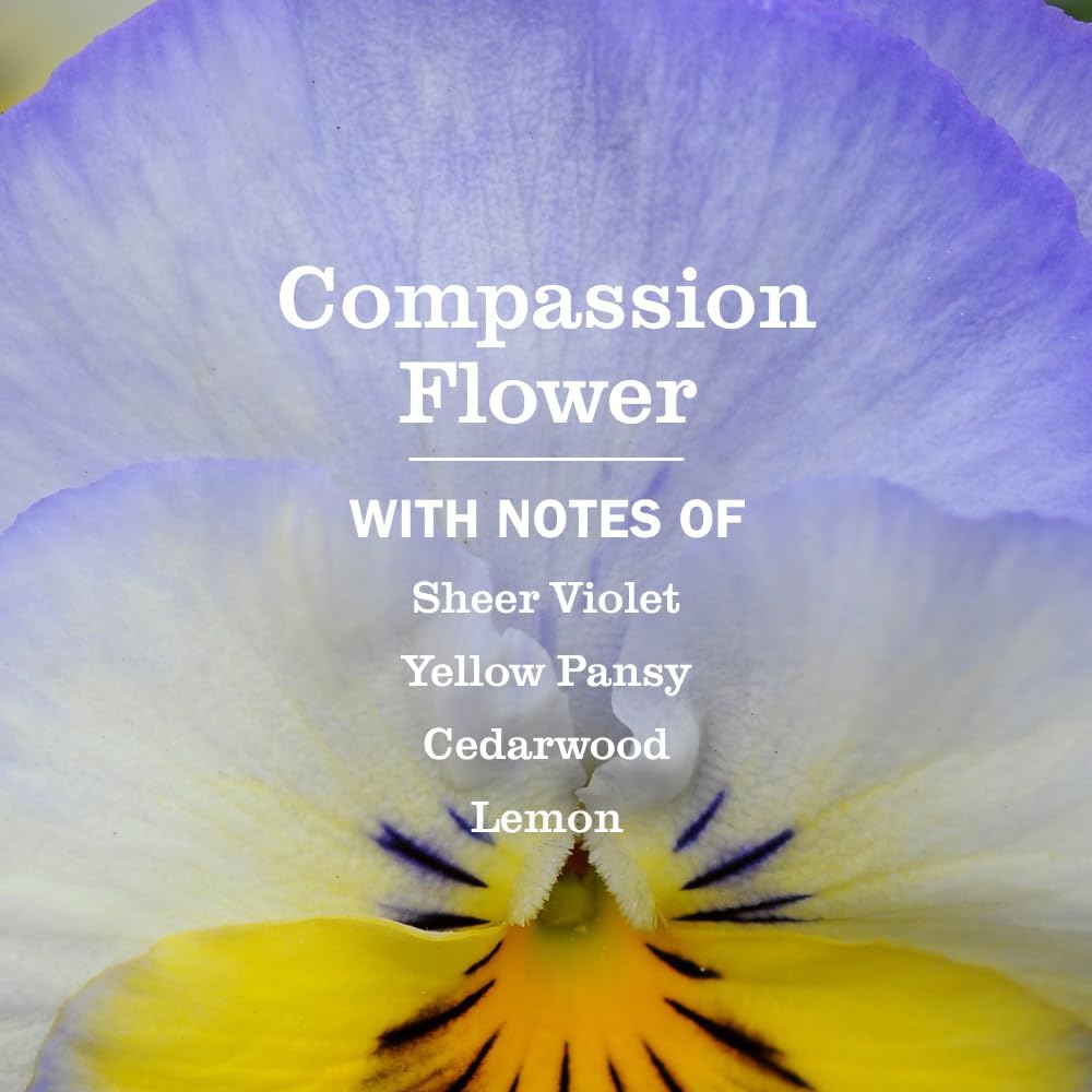 MRS._MEYER'S_CLEAN_DAY_Multi-Surface_Everyday_Cleaner,_Compassion_Flower_Scent,_16_Fl_Oz_Bottle_-_3_Pack