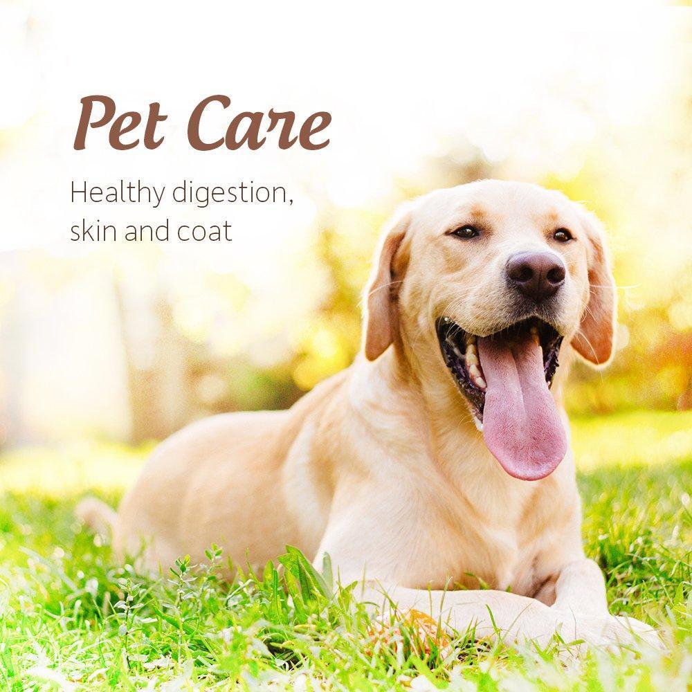 Garden_of_Life_Organic_Extra_Virgin_Coconut_Oil_-_Unrefined_Cold_Pressed_Plant_Based_Oil_for_Hair,_Skin_&_Cooking