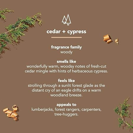 Method_Men_Body_Wash,_Cedar_+_Cypress,_Paraben_and_Phthalate_Free,_18_fl_oz_(Pack_of_1)