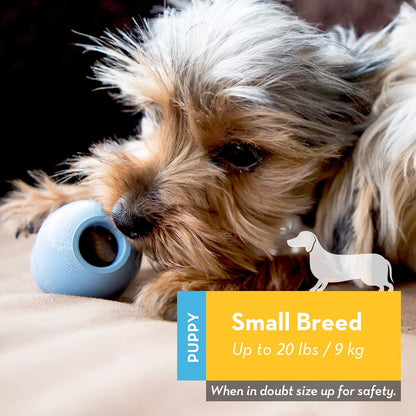 KONG_Puppy_-_Natural_Teething_Rubber_Chew_Toy_for_Dogs_-_Stuffable_Dog_Toy_for_Extended_Playtime_-_Chew_&_Fetch_Toy_for_Puppies_-_for_Small_Puppies