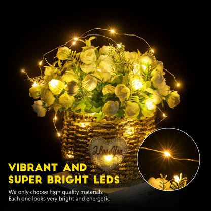 Brightown_12/24_Pack_Fairy_Lights_Battery_Operated_String_Lights_-_LED_Mini_String_Lights_Waterproof_Silver_Wire_Firefly_Lights_for_Vases_Mason_Jars_DIY_Crafts_Plants_Table_Centerpieces_Wedding