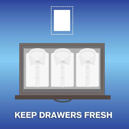 ARM_&_HAMMER_Fabric_Softener_Sheets,_Mountain_Rain_144ct