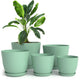 pack of 5 - Mint