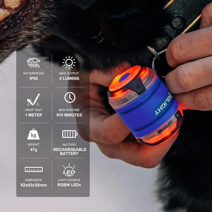 OLIGHT_Gober_2_Safety_Light,_High_Visibility_Beacon_LED_with_6_Color_Settings_and_4_Lighting_Modes,_USB-C_Rechargeable_Flashing_Warning_with_Clip_for_Running,_Cycling,_Camping,_Dog_Walking(Blue)