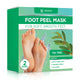 Regular - Tea Tree - 2