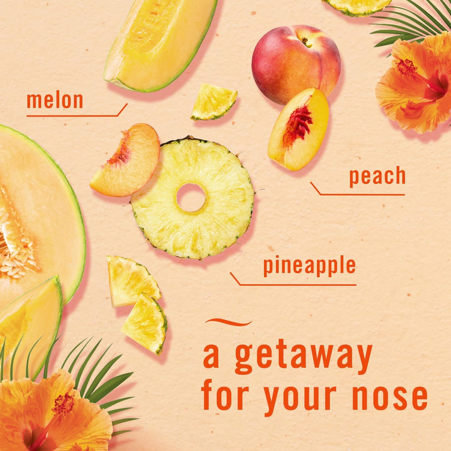 Febreze_Plug_In_Air_Freshener,_Odor-Fighting_Scented_Oil_Refill,_Air_Fresheners_for_Home_and_Bathroom_and_Kitchen,_Long_Lasting_for_Strong_Odors,_Hawaiian_Aloha_Scent,_0.87oz_Refills,_3_Count