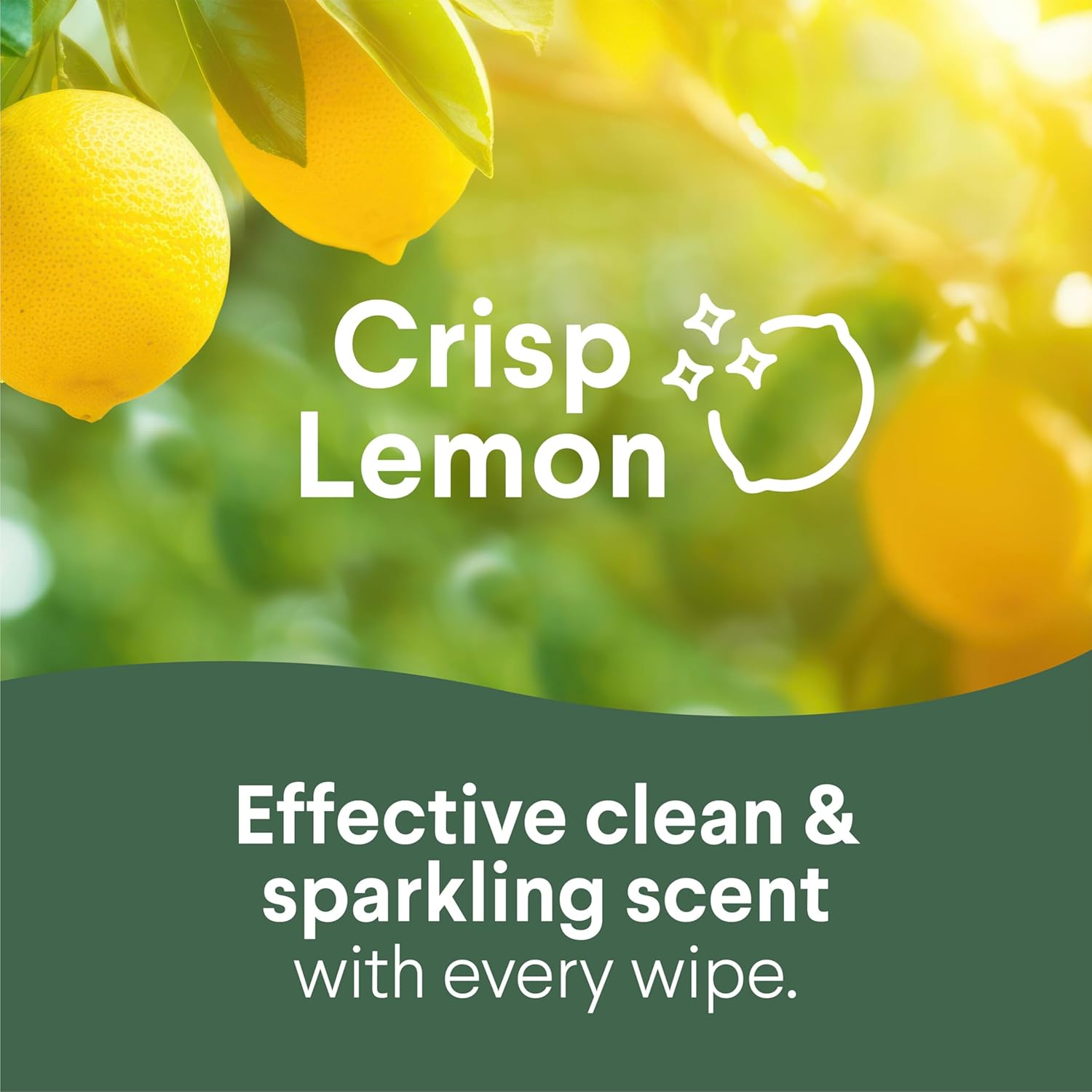 Clorox_Disinfecting_Wipes_for_Allergy_Season,_Bleach-Free,_Multi-Surface_Cleaner,_Antibacterial,_Fresh_Scent_&_Crisp_Lemon,_75_Count_Each,_Pack_of_3
