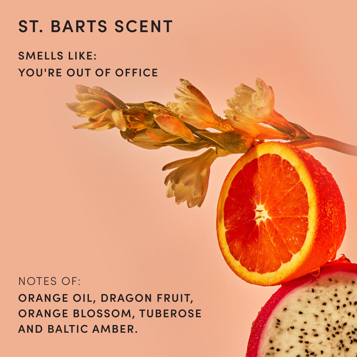 OUAI_Body_Cleanser,_St._Barts_-_Foaming_Body_Wash_with_Jojoba_Oil_and_Rosehip_Oil_to_Hydrate,_Nurture,_Balance_and_Soften_Skin_-_Paraben,_Phthalate_and_Sulfate_Free_Skin_Care_Products_(10_Fl_Oz)