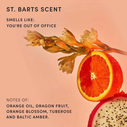 OUAI_Body_Cleanser,_St._Barts_-_Foaming_Body_Wash_with_Jojoba_Oil_and_Rosehip_Oil_to_Hydrate,_Nurture,_Balance_and_Soften_Skin_-_Paraben,_Phthalate_and_Sulfate_Free_Skin_Care_Products_(10_Fl_Oz)