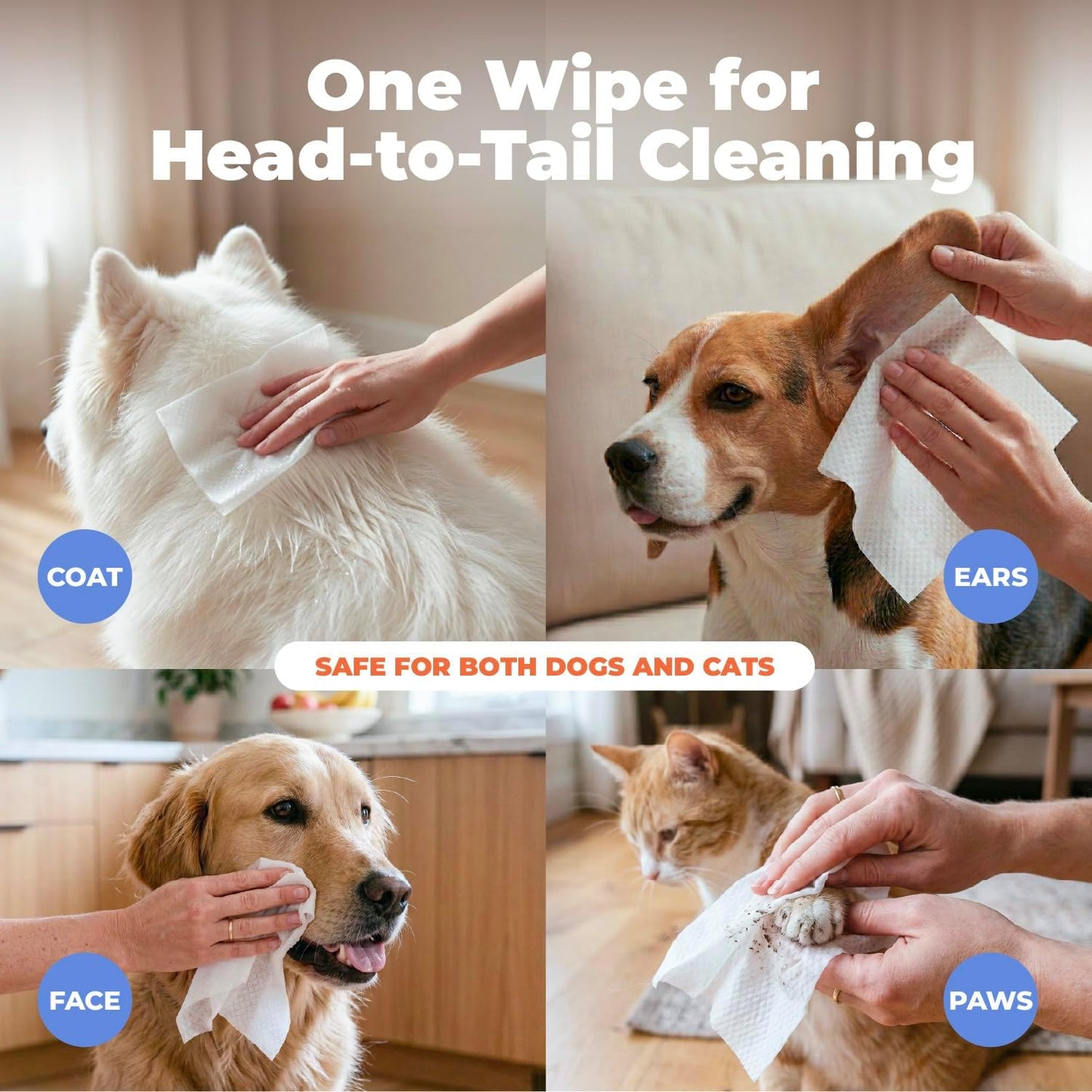 Best_Pet_Supplies_8"_x_9"_Large_Dog_Wipes_-_Cleaning_and_Deodorizing_for_Paws_and_Coat_-_Gentle_Formula_with_Lavender_Vitamin_E_for_Puppies_and_Cats_-_100_Count