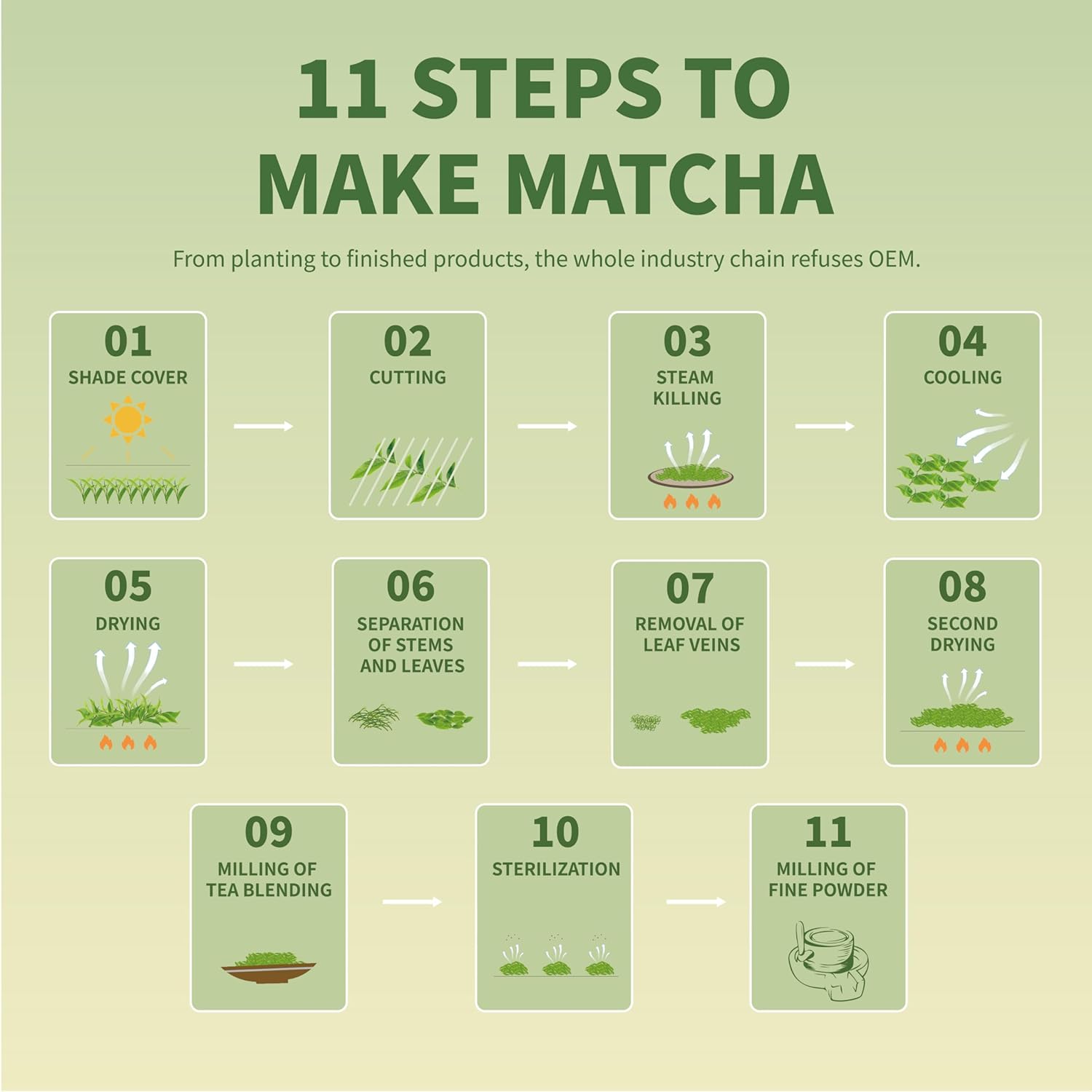 TIAN_HU_SHAN_Matcha_Green_Tea_Powder_3.5oz/100g,_Pure_Matcha_Powder_Culinary_Grade_Unsweetened_for_Lattes,_Cooking,_Baking,_Vegan_100%_Natural_（Package_May_Vary)