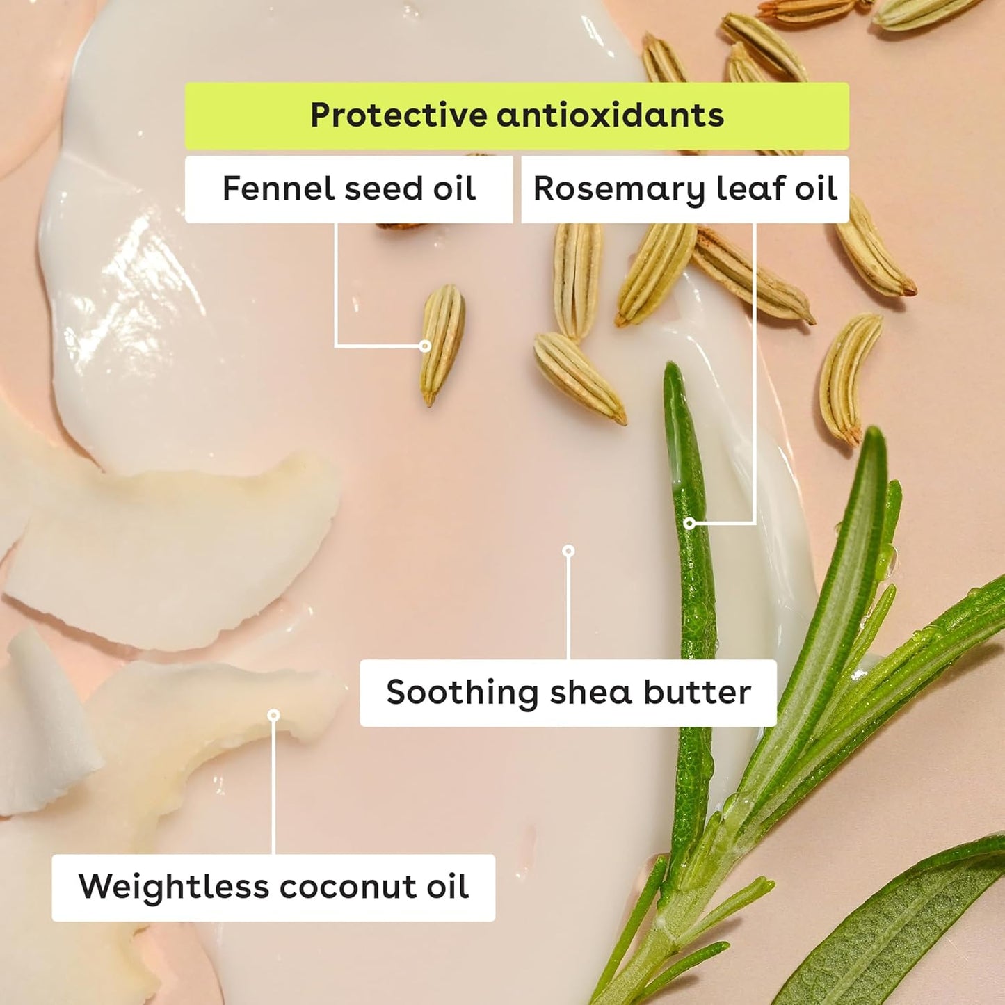 eos_Natural_Shea_Lip_Balm-_Birthday_Cake,_eos_lip_balm,_All-Day_Moisture,_Lip_Care,_Shea_Butter,_Moisturizing,_Dry_Lip_Care,_0.14_oz