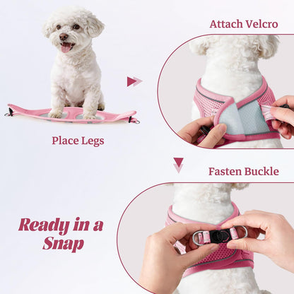 Dog_Harness_and_Leash_Set,_No_Pull_Soft_Mesh_Pet_Harness,_Reflective_Adjustable_Puppy_Vest_for_Small_Medium_Large_Dogs,_Cats_(Pink,_X-Small_(Pack_of_1)