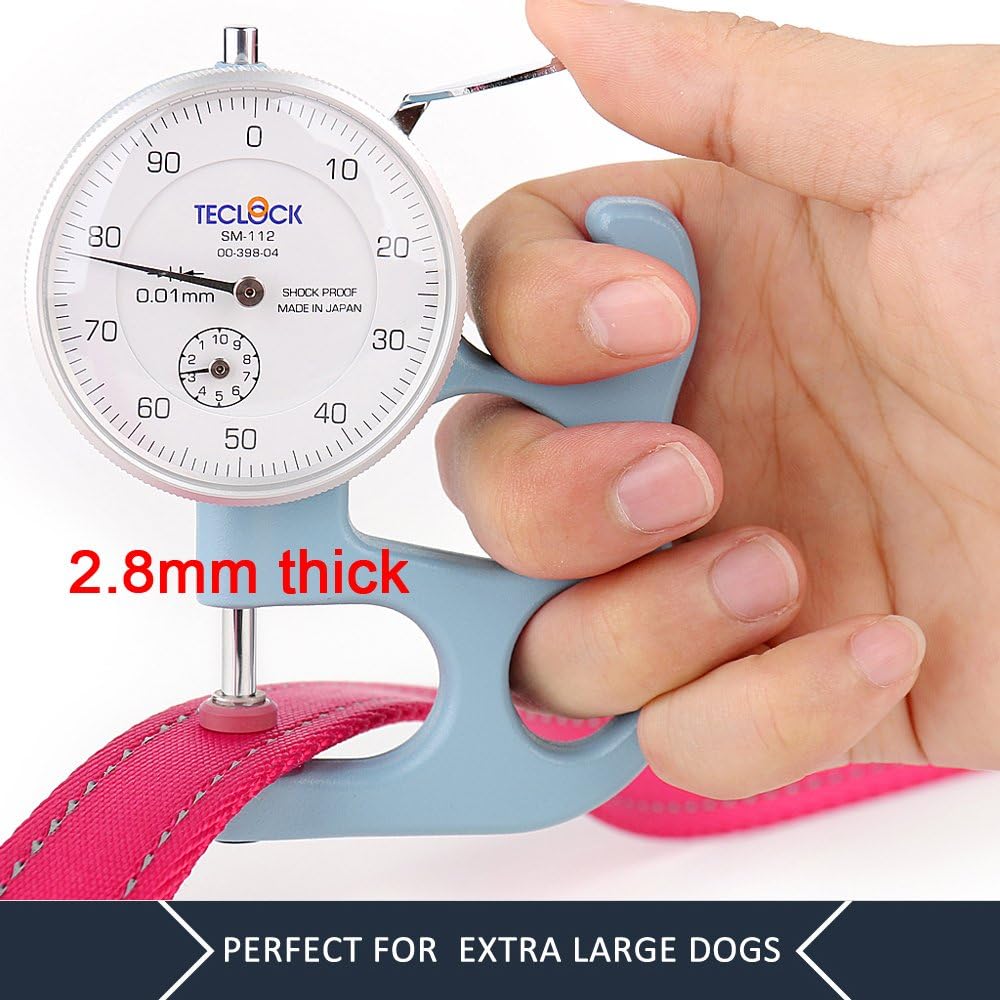 Plutus_Pet_Double_Handle_Dog_Leash_6ft_Long,_Padded_2_Handle,_Heavy_Duty,_Reflective_Training_Leash_for_Medium_Large_Dogs,_Dual_Handle_Lead_(Pink)