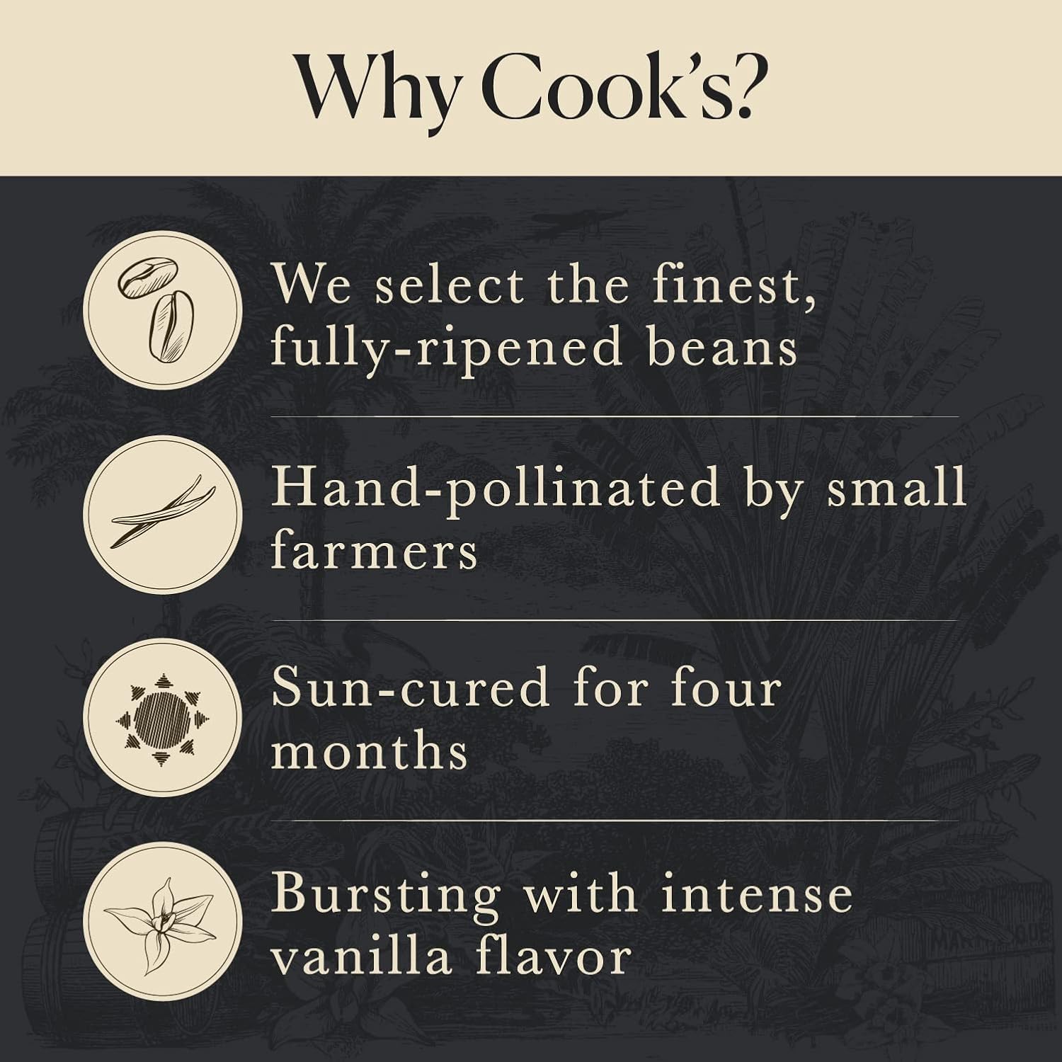 10_Organic_Madagascar_Whole_Vanilla_Beans,_Grade_A_Pods,_Premium_Vanilla_Beans_for_Making_Extract_&_Baking_-_Cook’s