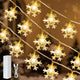 Warm White - 33FT 100LEDs