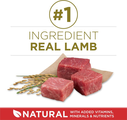 Purina_ONE_Dry_Dog_Food_Lamb_and_Rice_Formula_-_31.1_lb._Bag
