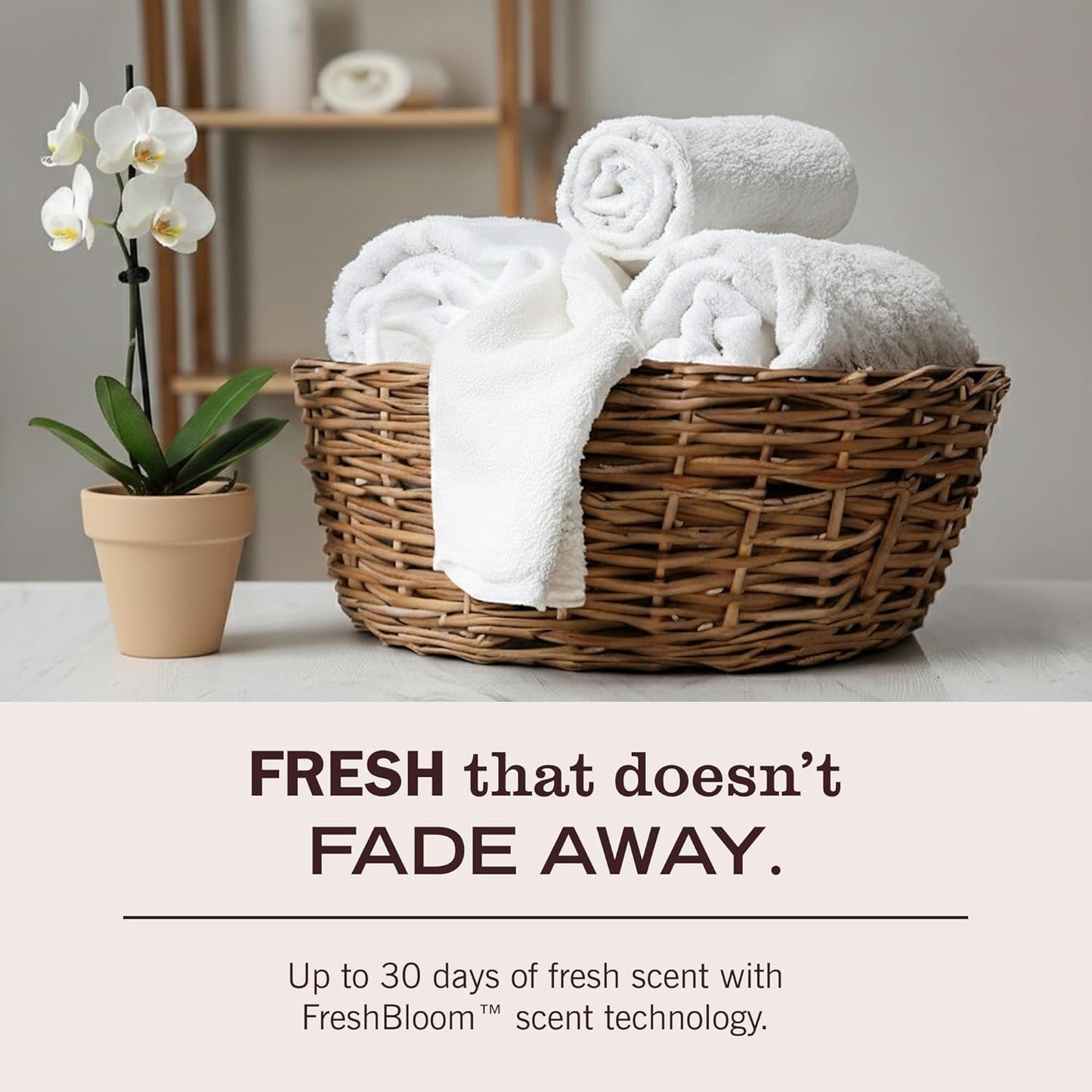 MRS._MEYER'S_CLEAN_DAY_Laundry_Detergent,_Rain_Water_Scent,_64_Ounce_Bottle