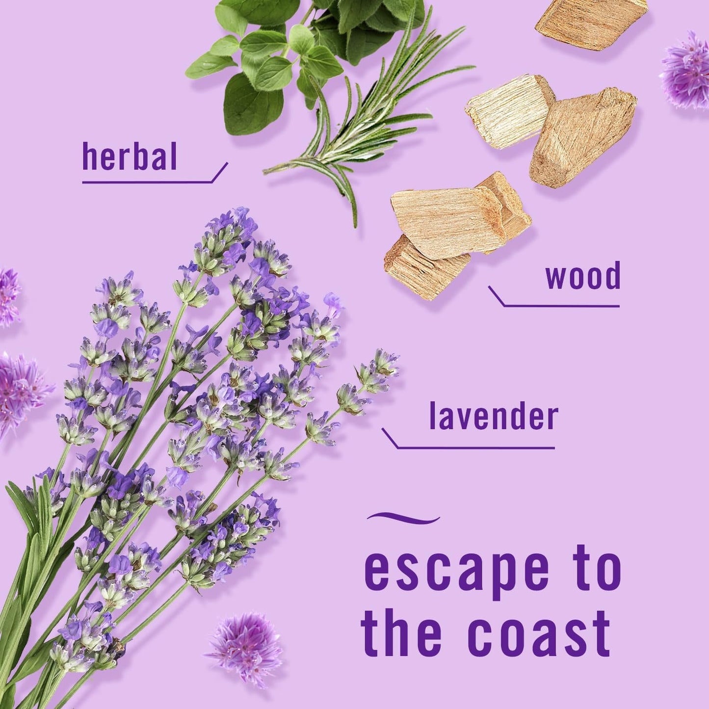 Swiffer_Sweep_+_Mop,_Dry_Pads_Refill,_Floor_Cleaner_for_Dirt,_Dust,_Hair,_Cleaning_Cloths_for_Mopping_Home,_Bathroom,_Kitchen,_Dust_Mop,_Floor_Duster,_Lavender,_52ct
