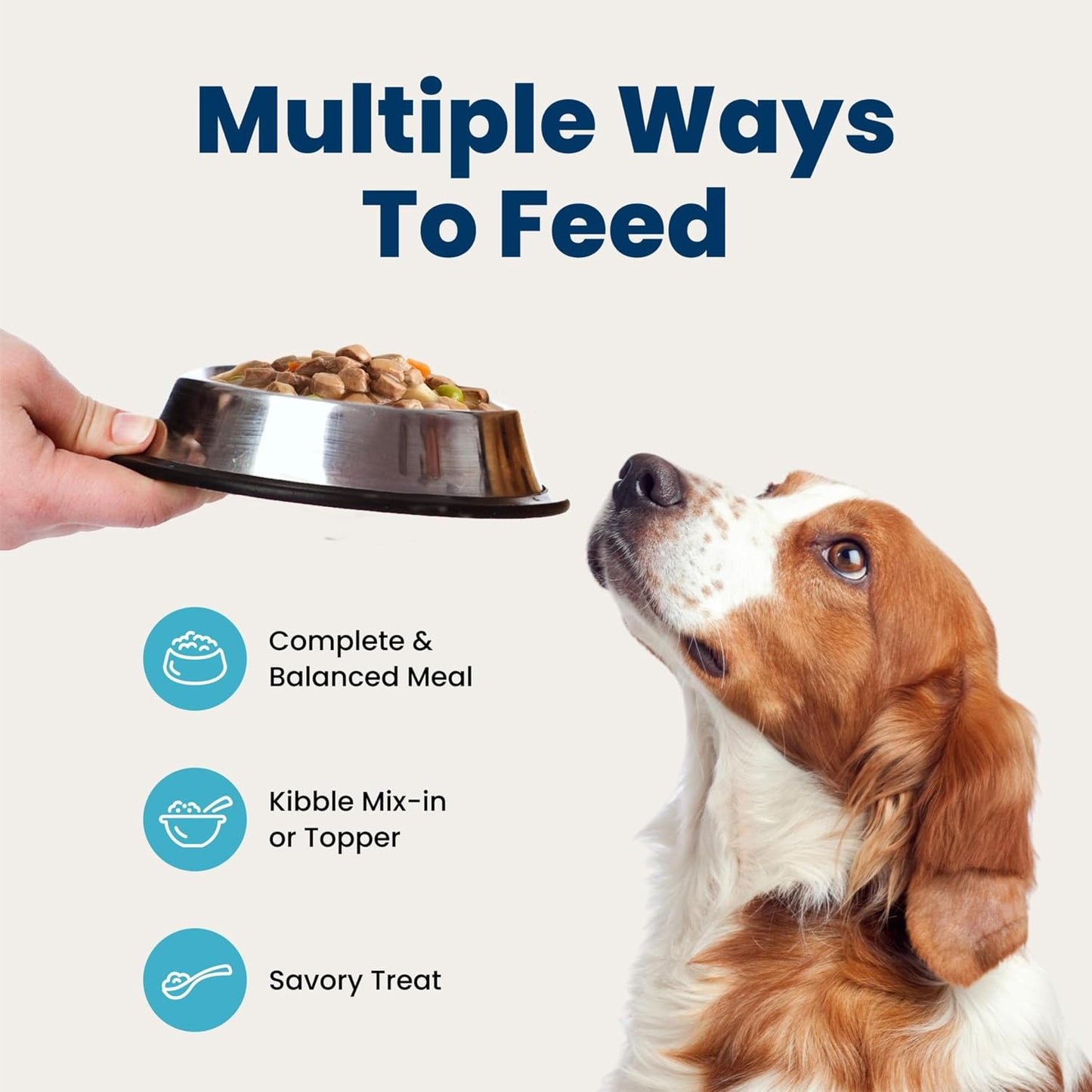 Blue_Buffalo_Blue’s_Stew_Variety_Pack_Hearty_Beef_&_Country_Chicken_Stew_Natural_Grain_Free_Wet_Dog_Food_with_Real_Meat_in_Thick_Savory_Gravy,_Natural_Ingredients,_12.5-oz_Cans_(6_Count)