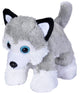Husky - 7"