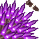 100 Count - Purple-Brown Wire