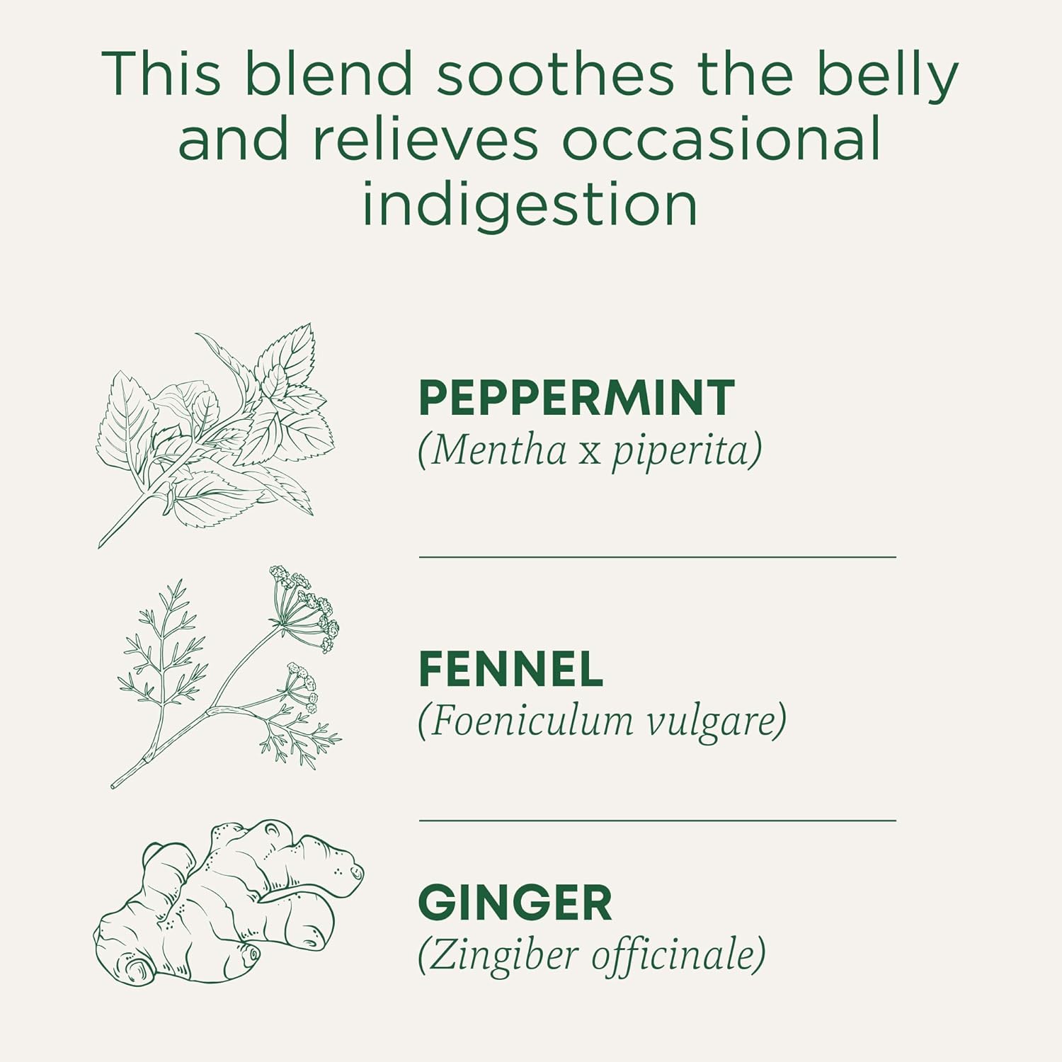 Traditional_Medicinals_Tea,_Organic_Belly_Comfort_Peppermint,_Promotes_Healthy_Digestion,_16_Tea_Bags